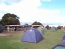 Serengeti safari kamp yeri,,,,,,